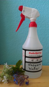 Vinegar Water Spray