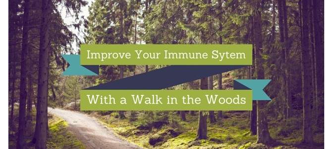 Improving Your Immune System is as Easy as a Walk in the Woods
