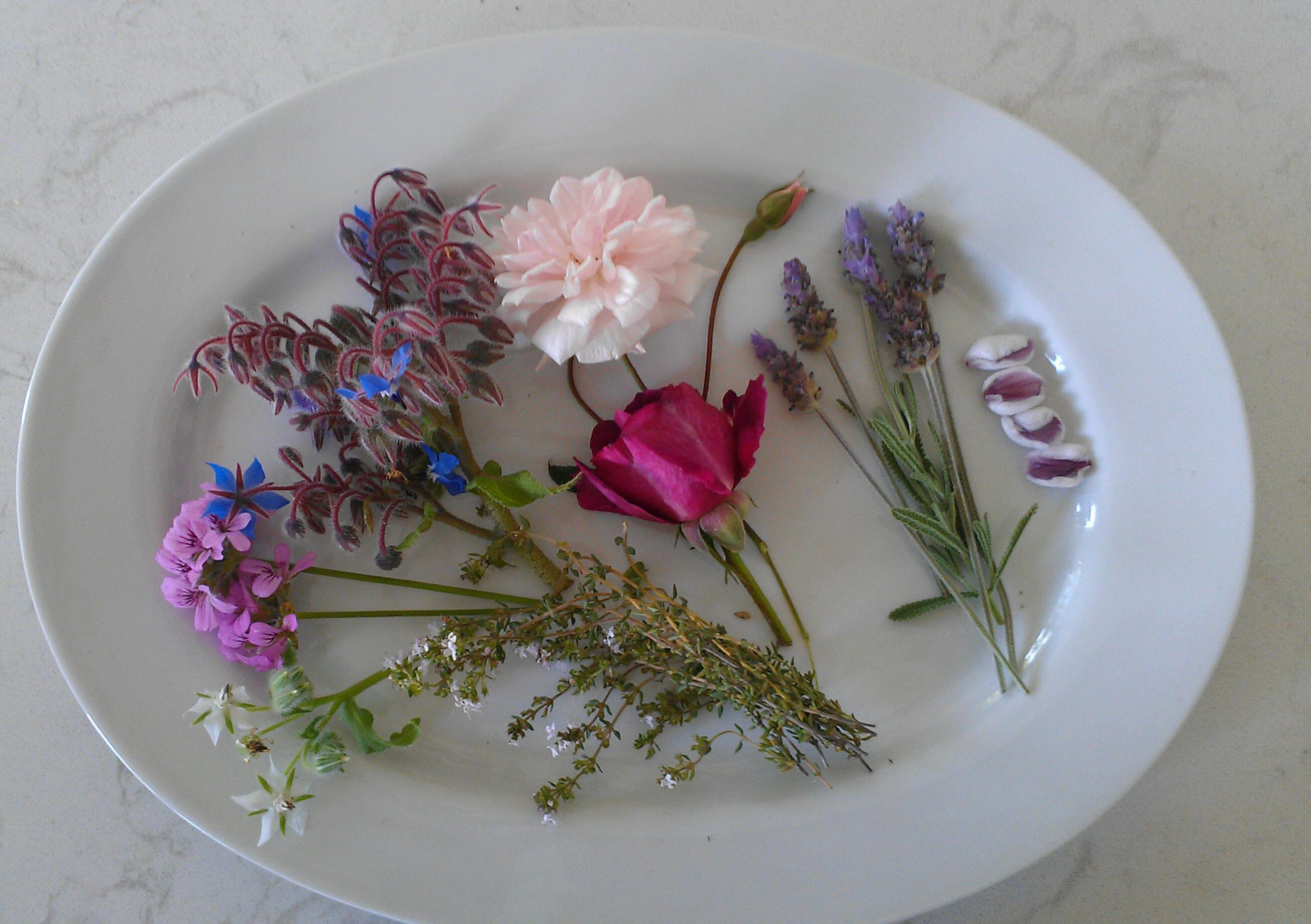 Jazz Up Your Cooking with Healthy and Tasty Edible Flowers