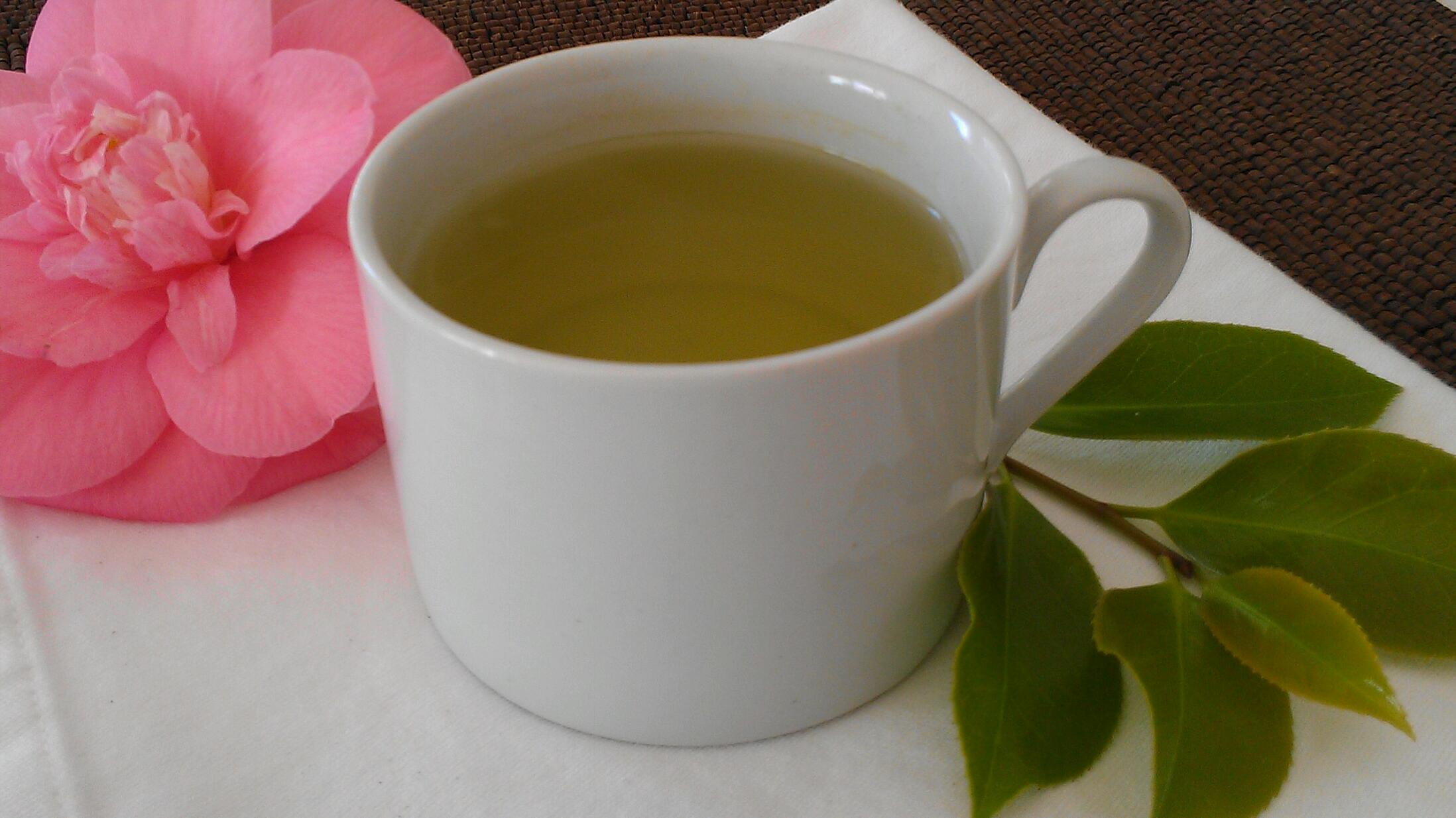Boost Your Brain & Improve Memory With Green Tea
