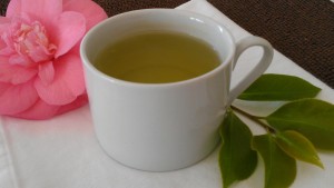 Hot tea is a good beverage to drink when you are congested.