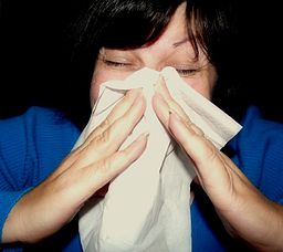 Warm and dry indoor air dries out your nasal and sinus passages putting you more at risk of getting sick this time of the year. Photo by Mcfarlandmo via Wikimedia Commons.