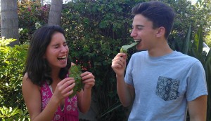 Having fun while trying the beet leaf chips!