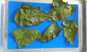 This is how the roasted beet leaf chips look when they are done -- nice and crispy.