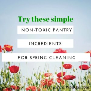 Use eco-friendly cleaning ingredients easily found in your own pantry to clean your home thoroughly, including bathrooms and the kitchen.
