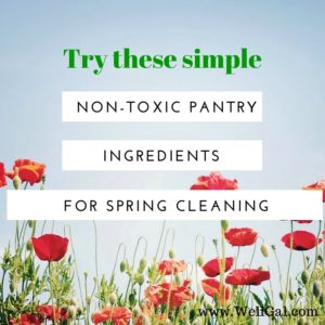 Discover how to use earth friendly ingredients from your pantry to green clean your whole house from top to bottom.