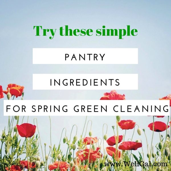 Spring Green Clean Try These Simple Pantry Ingredients for Spring Green Cleaning – WellGal