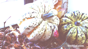 White and Grey Pumpkins